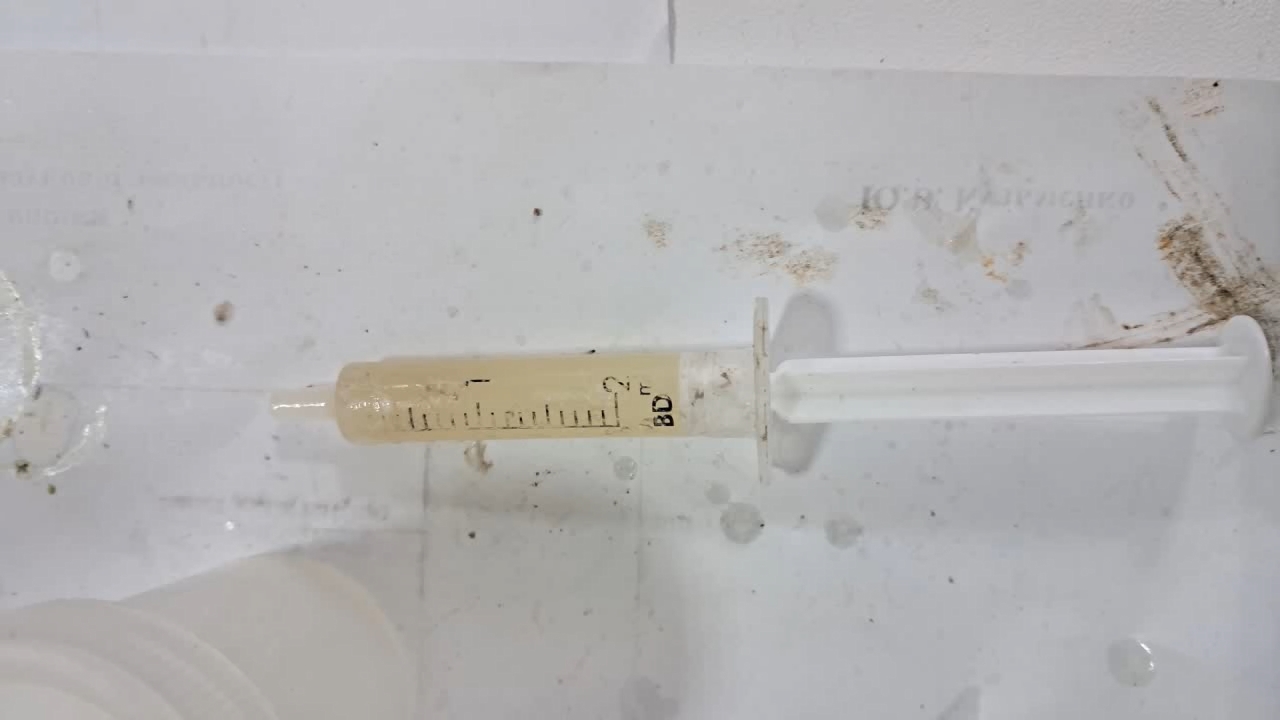 Electrospinning: Solutions of Polystyrene and Polyvinylidene Difluoride in Dimethylformamide